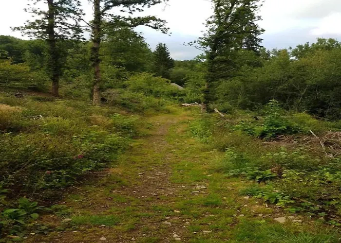 Charming With Private Pool